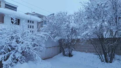 Erciş’te kar yağışı