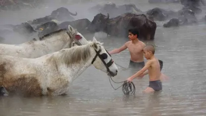 Manda ve atların kışın ortasında kaplıca keyfi