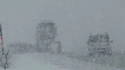 Van Kurubaş'ta yoğun sis ve kar yağışı