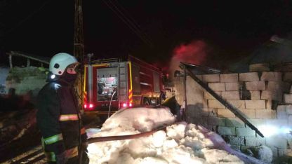 Van’da korkutan ahır yangını: 3 inek son anda kurtarıldı