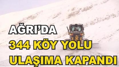 Ağrı’da 344 köy yolu kar ve tipiden dolayı kapandı