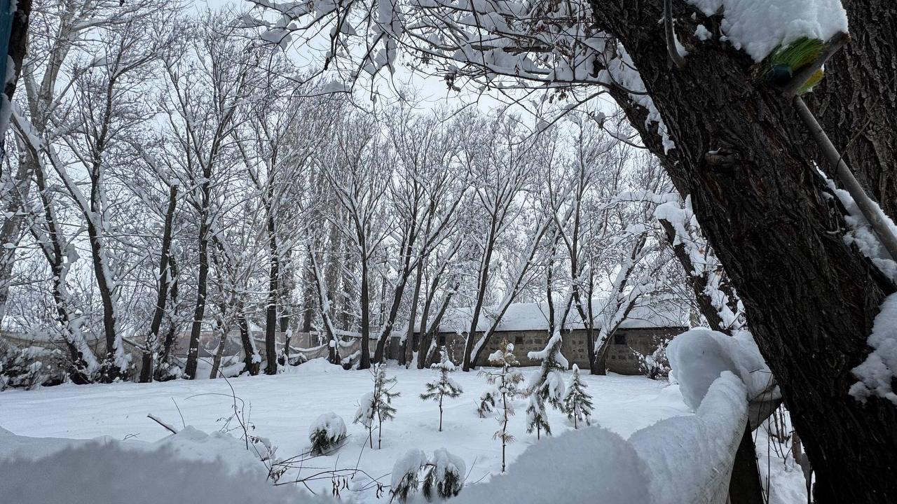 Ağrı’da gece boyunca kar etkili oldu