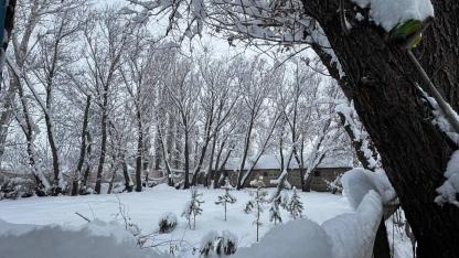 Ağrı’da gece boyunca kar etkili oldu