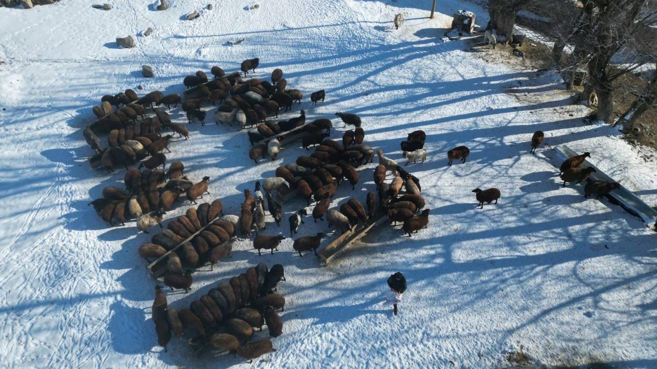 Ağrı’da kar ve soğukla gelen kartpostallık manzara