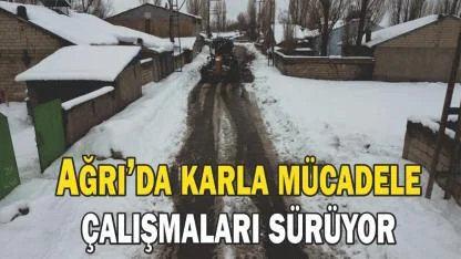Ağrı’da karla mücadele çalışmaları sürüyor