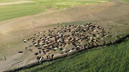 Ağrı’da Tarım ve Hayvancılığa Yeni Yol Haritası