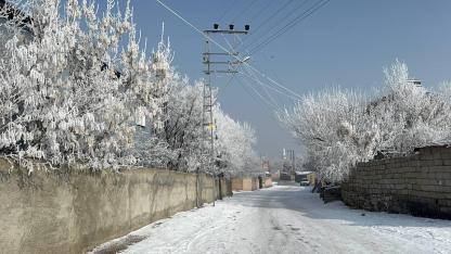 Ağrı’da yeniden dondurucu soğuklar etkili oldu