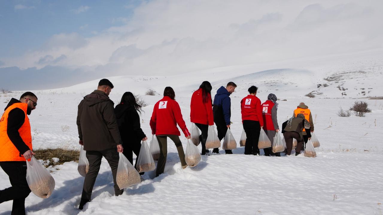 Ağrı’nın zorlu kış şartlarında yaban hayvanları için doğaya yem bırakıldı