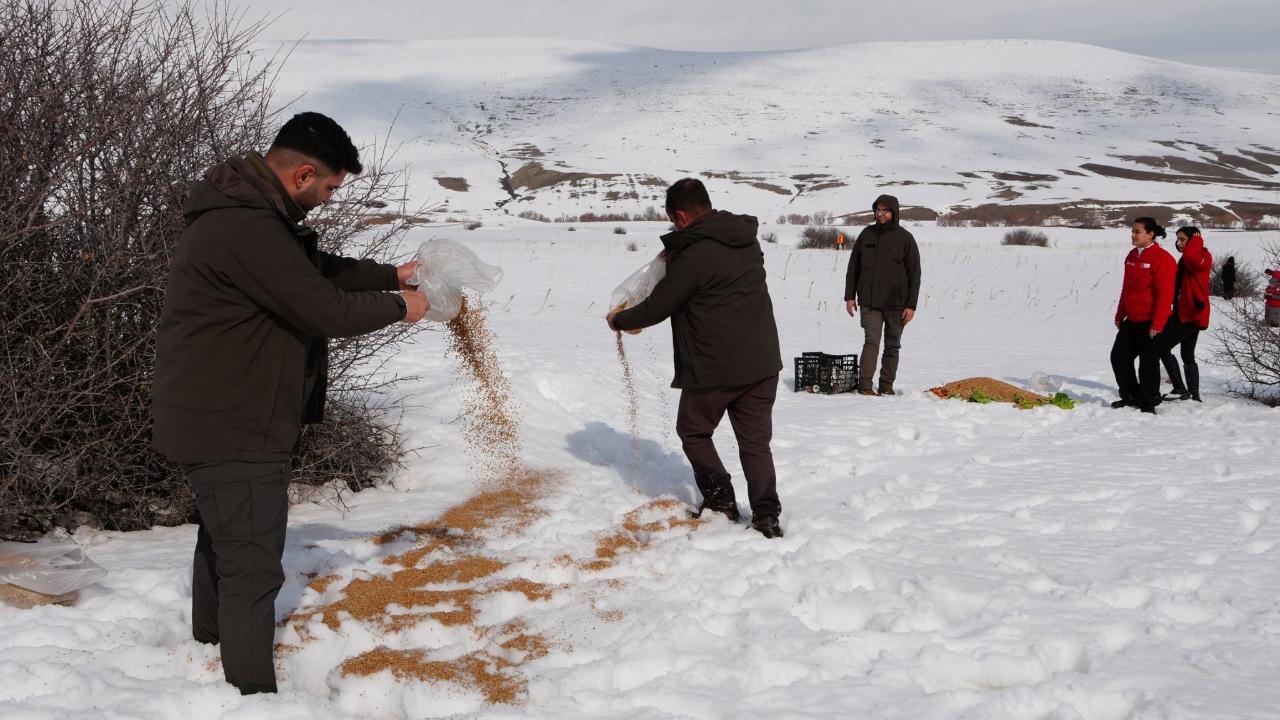 Ağrı’nın zorlu kış şartlarında yaban hayvanları için doğaya yem bırakıldı