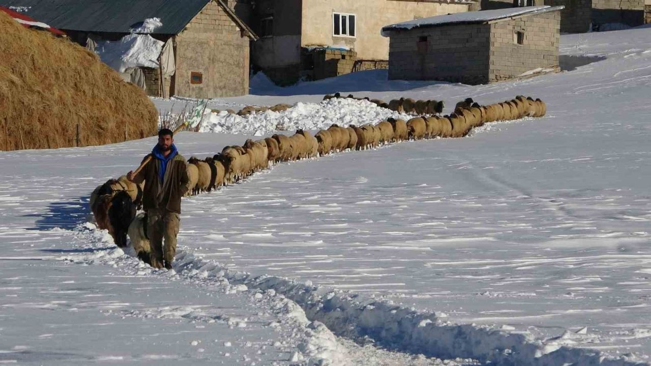 Besicilerin zorlu kış mesaisi sürüyor