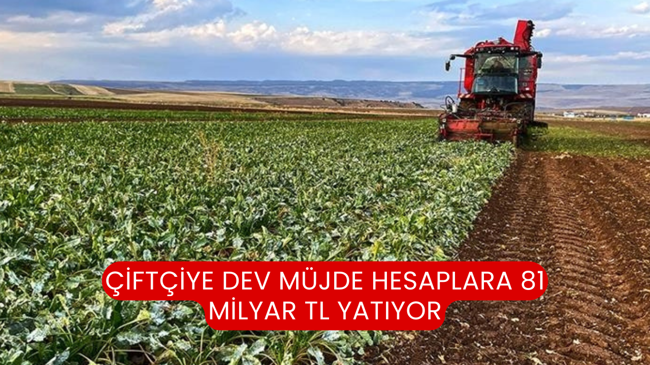 Çiftçiye Dev Müjde Hesaplara 81 Milyar TL Yatıyor