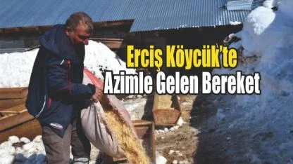 Erciş Köycük’te Azmin Hikâyesi: 100 Koyun 680 Oldu
