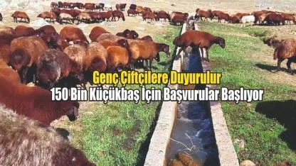 Genç Çiftçilere Duyurulur: 150 Bin Küçükbaş İçin Başvurular Başlıyor