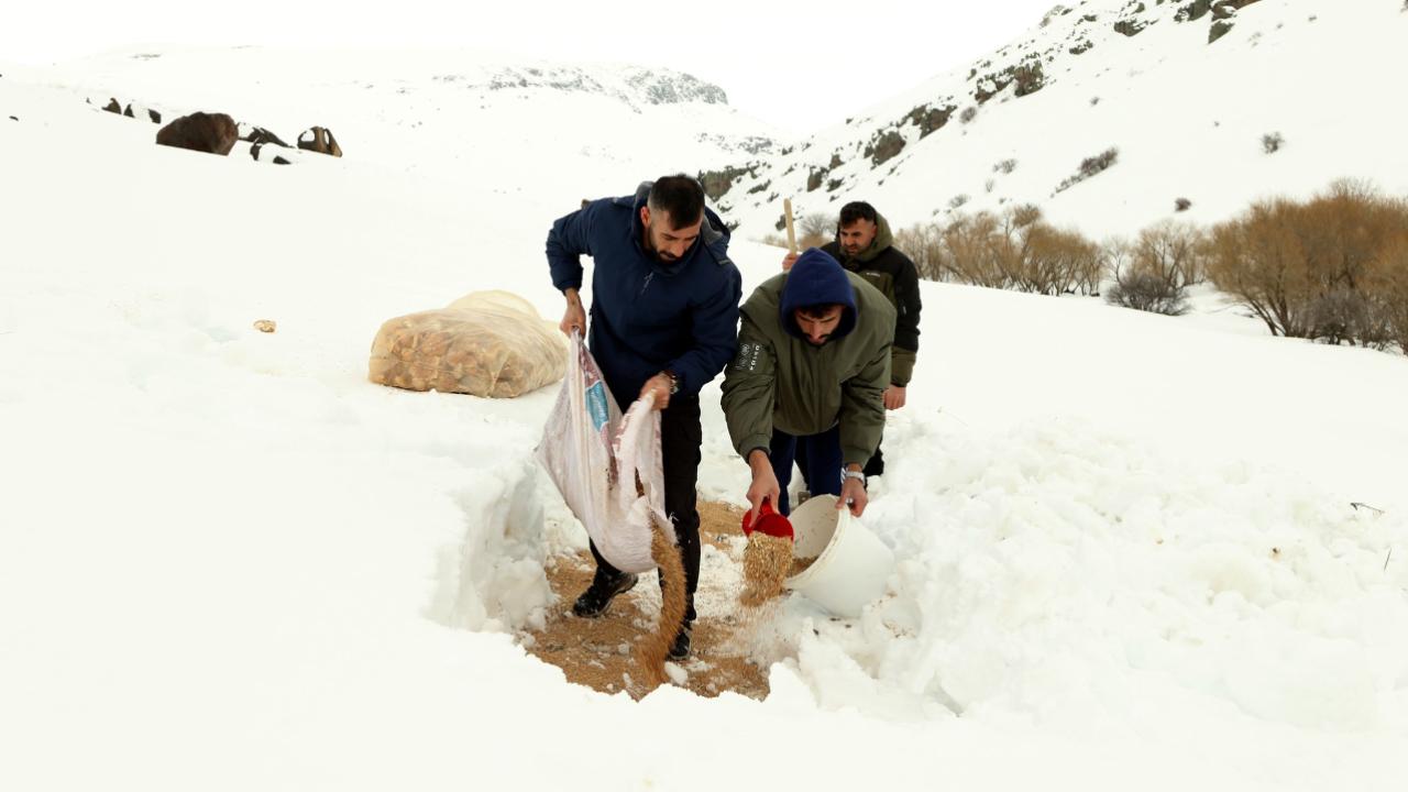 Hamur Deresi’nde Yaban Hayvanlarına Yemleme Çalışması
