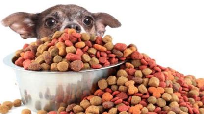 KÖPEK MAMASI SATIN ALINACAKTIR