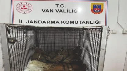 Muradiye’de 14 Kınalı Keklik Yakalayan Şahsa 75 Bin Lira Ceza