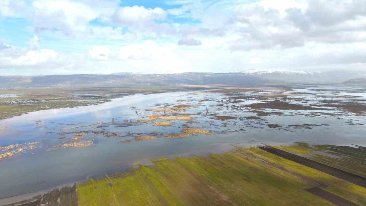 Muş ovasını kar suları bastı