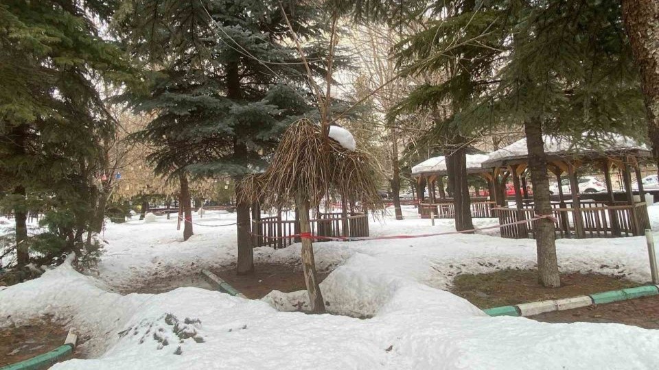 Patnos’ta kar manzaraları mest etti