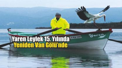 Yaren Leylek 15. Yılında Yeniden Van Gölü’nde