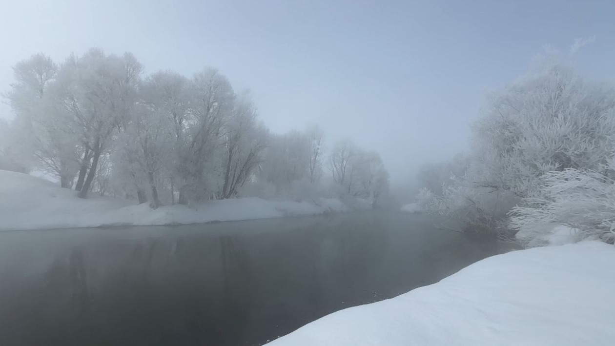 Yüksekova’da sisle birleşen kırağı ağaçları sanat eserine dönüştürdü