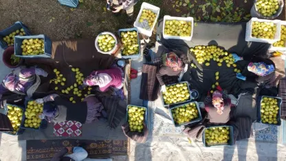 Tarım-ÜFE yıllık yüzde 40,10 arttı