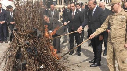 Bitlis’te Nevruz Bayramı coşkuyla kutlandı