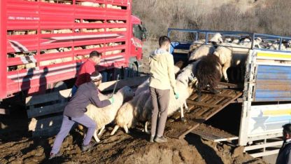 Besiciler 8 aylık yayla göçüne başladı