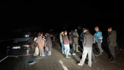 Otomobil ata çarptı: 4 yaralı