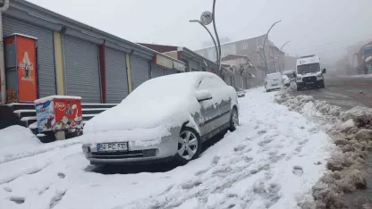 Başkale’de kar yağışı
