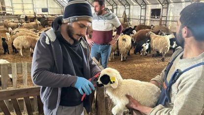 Erzincan İl Tarım ve Orman Müdürlüğü ekipleri Refahiye’de hayvan sağlığı için sahadalar