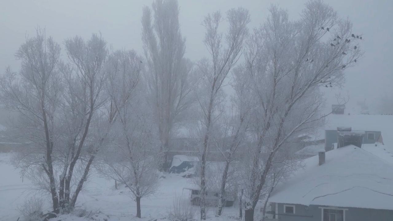 Ağrı’da Sibirya soğukları Mart ayında da etkisini sürdürüyor (Videolu Haber)
