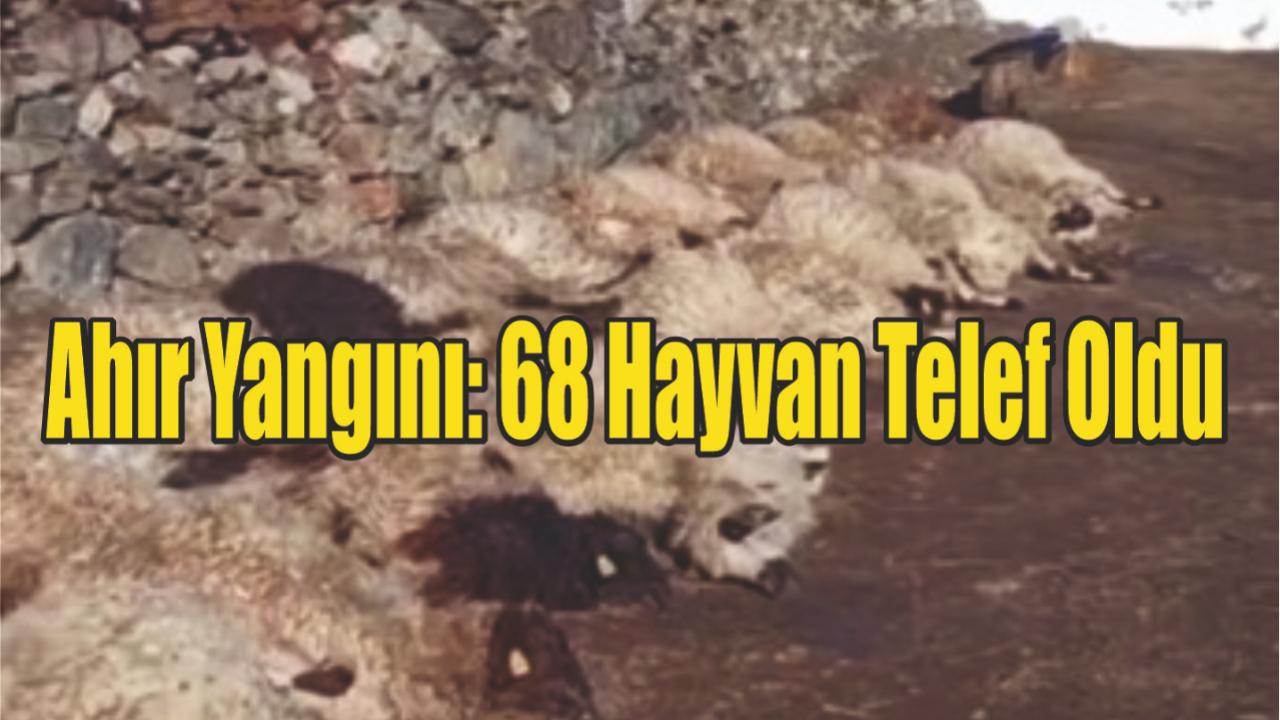 Ahır Yangını: 68 Hayvan Telef Oldu