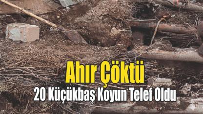 Aşırı Yağış Nedeniyle Ahır Çöktü, 20 Küçükbaş Telef Oldu