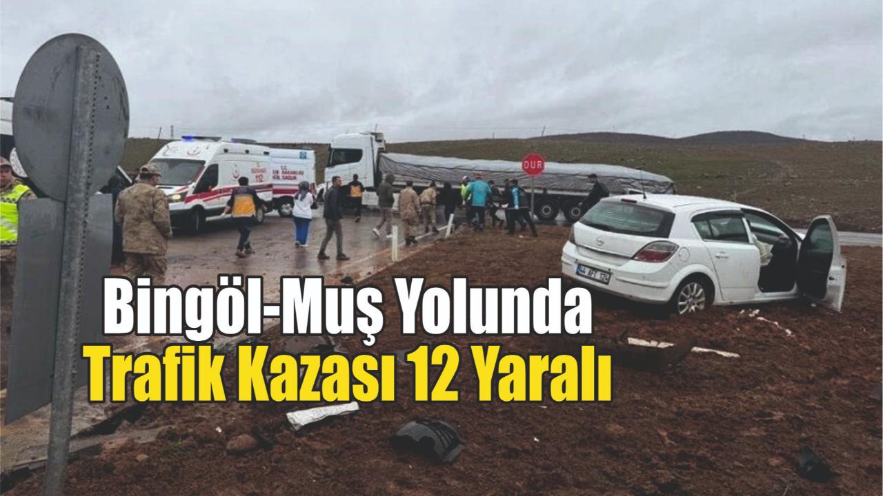 Bingöl-Muş Yolunda Trafik Kazası: 12 Yaralı