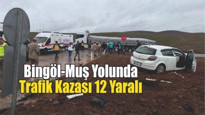 Bingöl-Muş Yolunda Trafik Kazası: 12 Yaralı