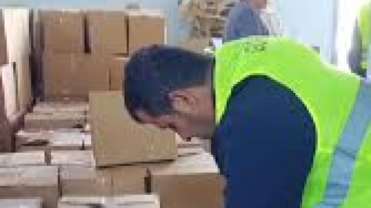 Erciş Belediyesi’nden Bayram Öncesi İhtiyaç Sahiplerine Gıda Desteği