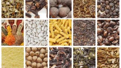 GIDA ÜRÜNLERİ SATIN ALINACAKTIR