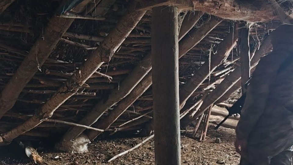 Hakkari Durankaya’da ahır çöktü 5 hayvan telef oldu