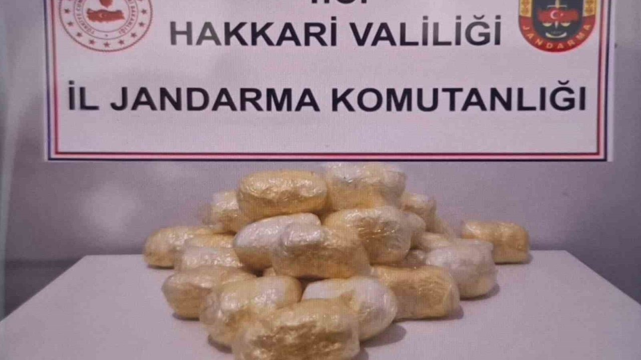 Jandarma bir tırda 15 kilo 263 gram metamfetamin ele geçirdi