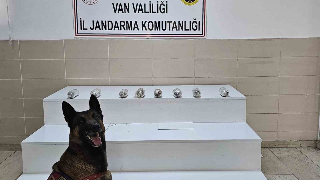 Jandarma Van’da uyuşturucu madde ele geçirdi