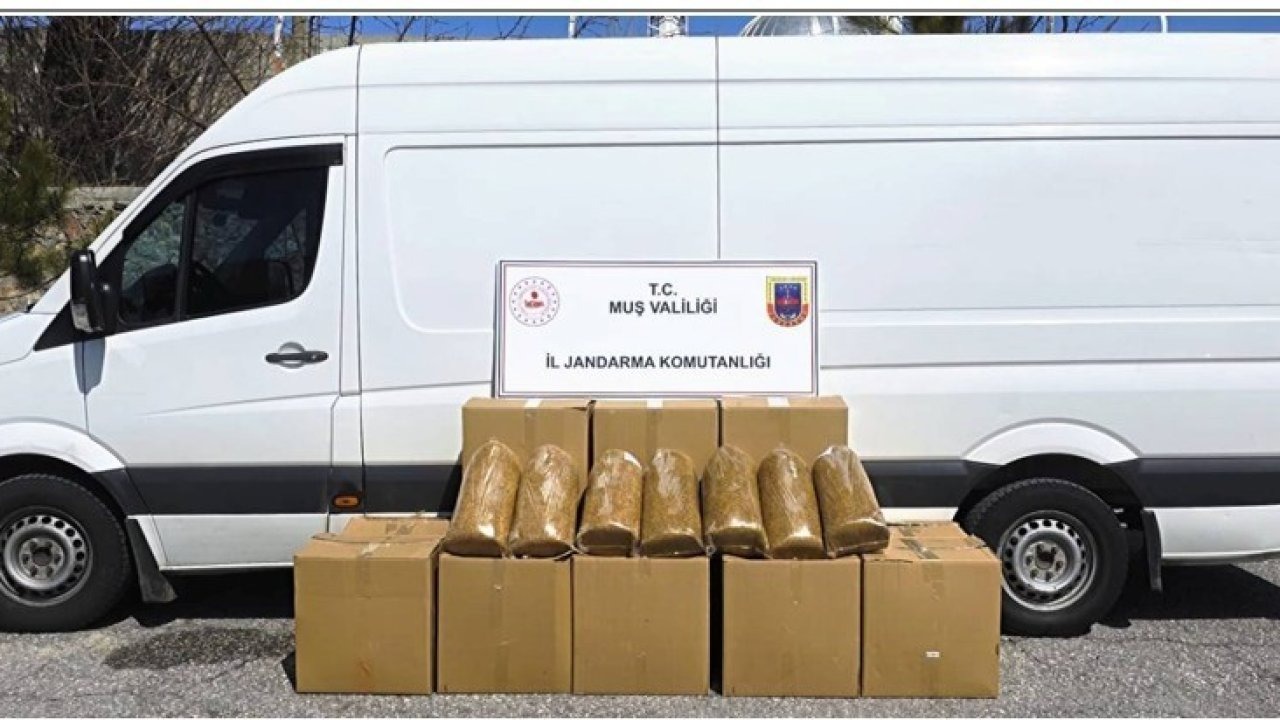 Muş’ta Jandarma  260 kilogram bandrolsüz tütün ele geçirdi