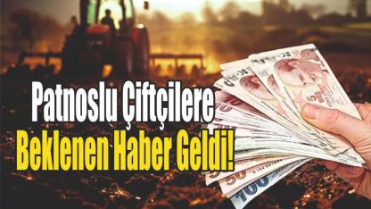 Patnoslu Çiftçilere Müjde: Tarım Destek Ödemeleri Başladı!