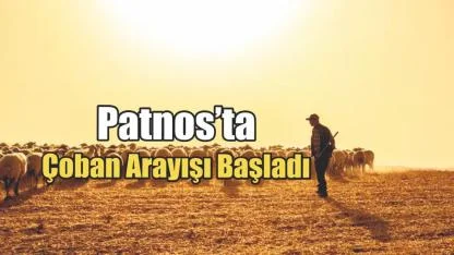 Patnos’ta Çoban Arayışı Başladı