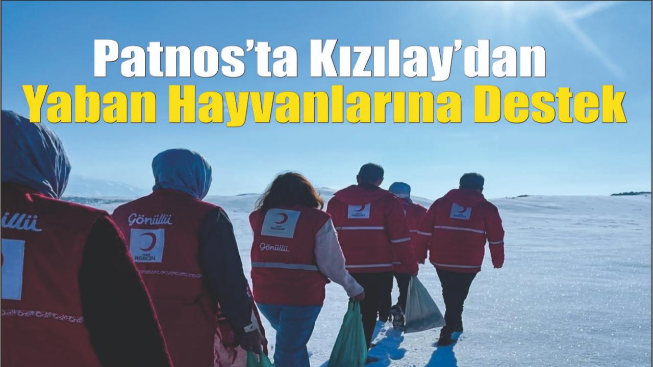 Patnos’ta Kızılay’dan Yaban Hayvanlarına Destek