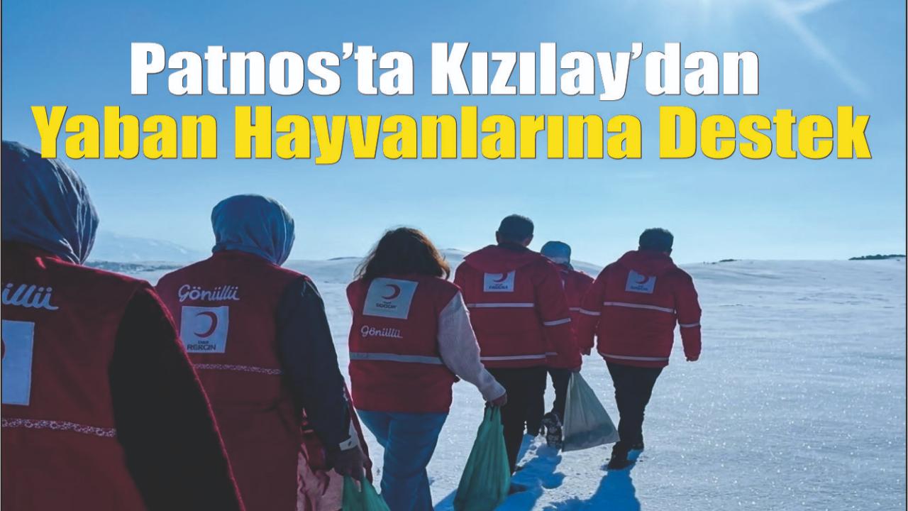 Patnos’ta Kızılay’dan Yaban Hayvanlarına Destek
