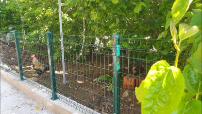 SAHA İŞLERİ YAPTIRILACAKTIR