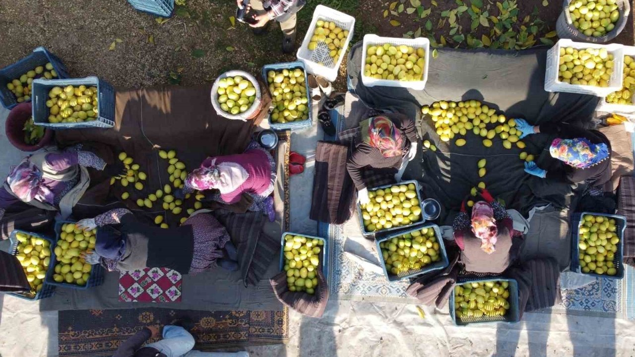 Tarım-ÜFE yıllık yüzde 40,10 arttı