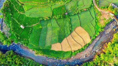 2026 YILI 295 HA TOPRAK MUHAFAZA TESİS REVİZE HİZMET ALIMI YAPILACAKTIR