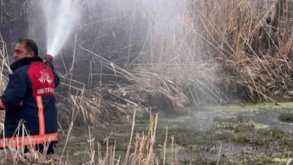 Van’da sazlık alanda yangın