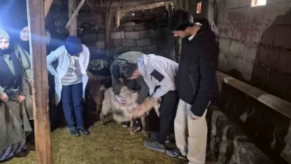 Özalp’te çiftçilere yönelik eğitim seferberliği başlatıldı